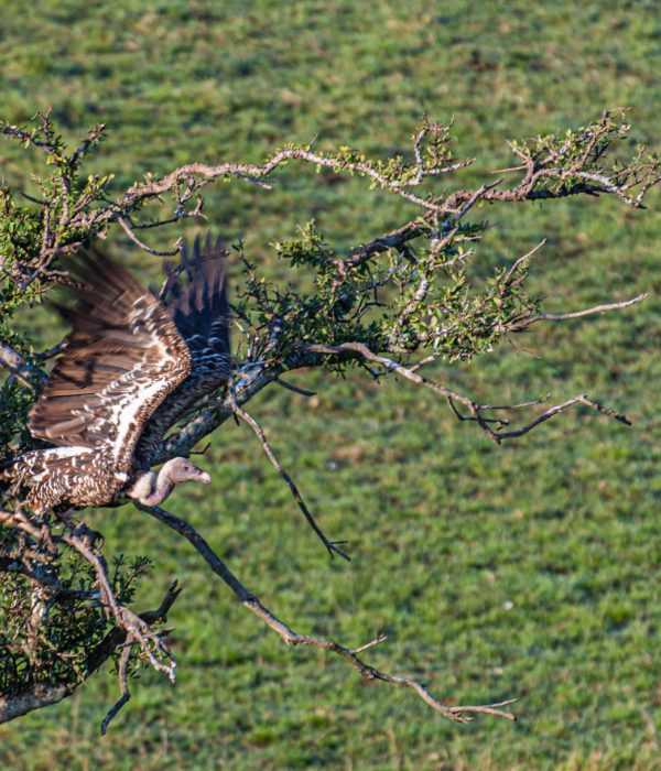 D85_1927-min D85_1927-min