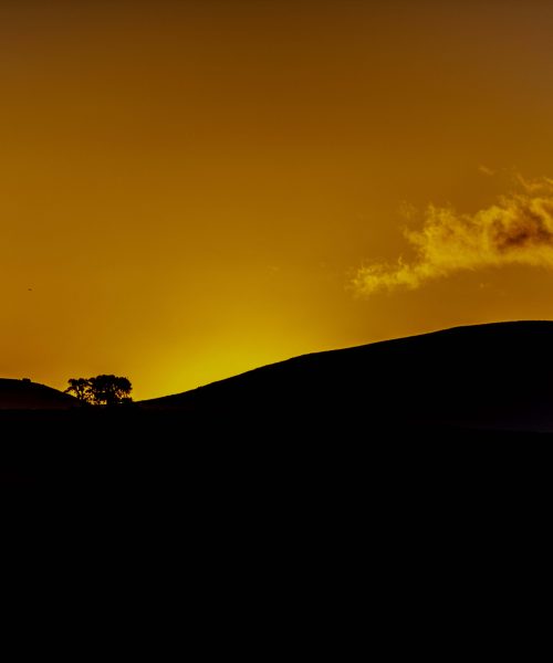 D85_3609-min D85_3609-min