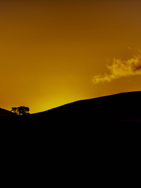 D85_3609-min D85_3609-min