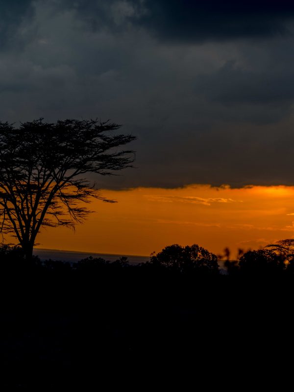 D85_5180-min D85_5180-min