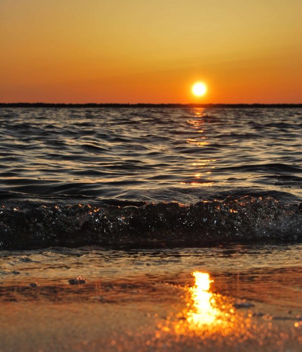 sunset sunset